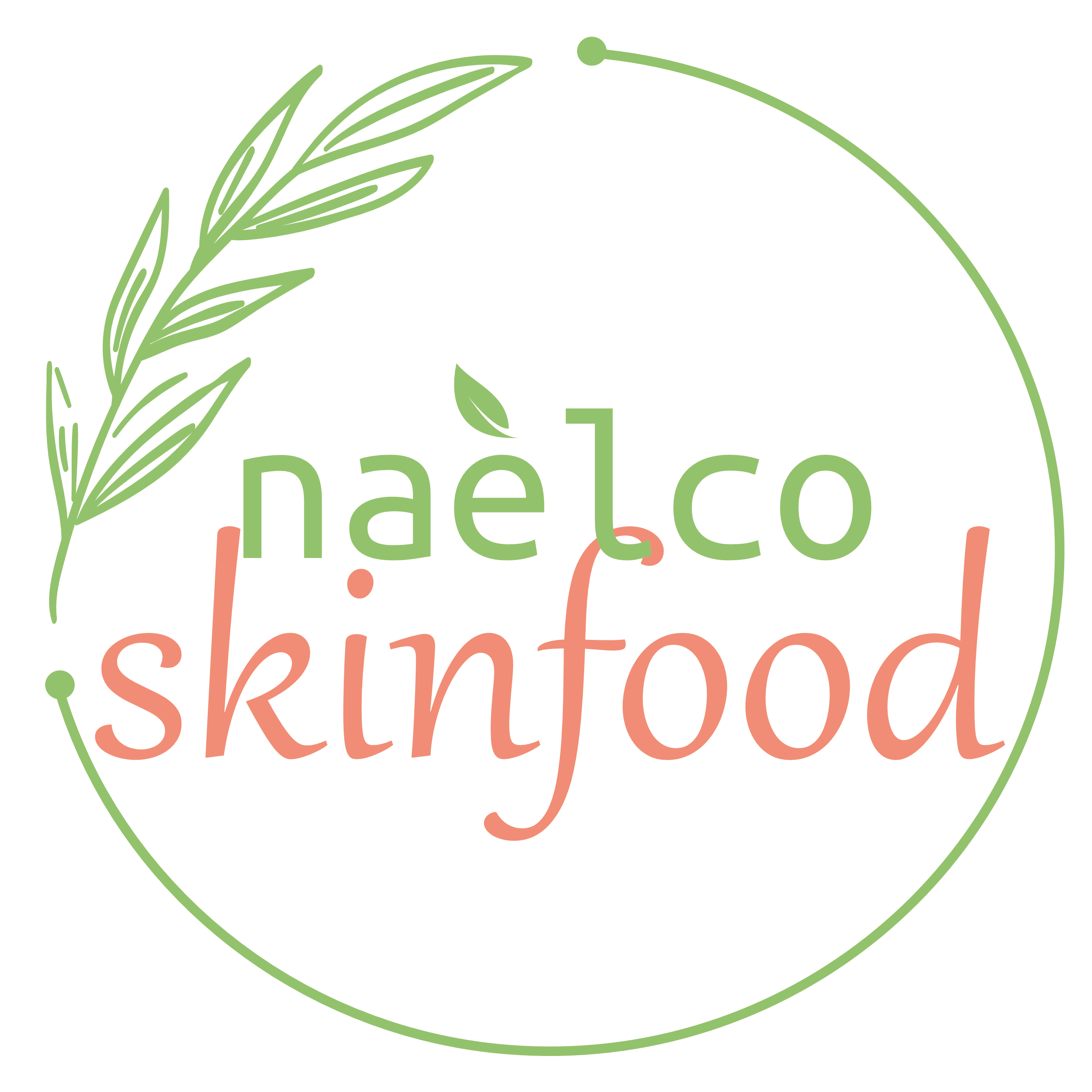 naelco skinfood